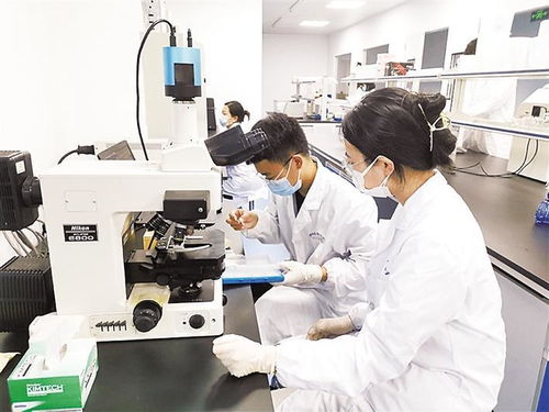 保定高新區(qū)技術(shù)創(chuàng)業(yè)服務中心累計培育高新技術(shù)企業(yè)225家，信息技術(shù)咨詢服務引領創(chuàng)新