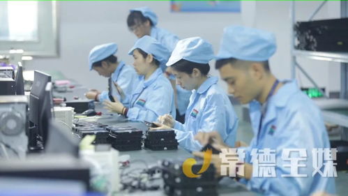 桃源培優(yōu)“兩主兩特”產(chǎn)業(yè)，以信息技術(shù)咨詢服務助力挺進全省十強縣